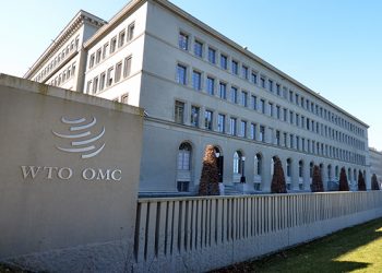 US officially endorses Okonjo-Iweala for WTO DG
