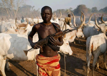 It’s time to halt Miyetti Allah’s plot to destabilize Nigeria
