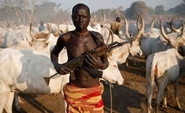 It’s time to halt Miyetti Allah’s plot to destabilize Nigeria