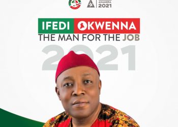 Ifedi’s governorship ambition and the new ideas for Anambra in agriculture