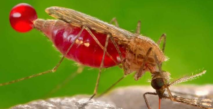 How US govt is partnering with natural gas giant, NLNG to combat malaria on Nigeria’s Bonny Island