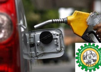No petrol price increase, says Sylva