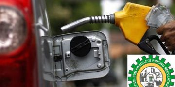 No petrol price increase, says Sylva