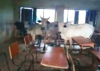 Southern Nigerian governors ban open grazing due to killings in region by herdsmen, endorse establishment of state police