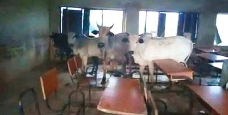 Southern Nigerian governors ban open grazing due to killings in region by herdsmen, endorse establishment of state police
