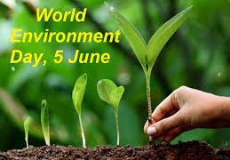 World Environment Day: Extinction Rebellion tells Buhari to promote environmental sustainability