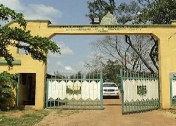 College of Agriculture Kabba to become federal university as Senate backs plan  