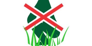 Adamu commends ‘Clean Nigeria Campaign’ for efforts to end open defecation