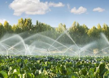 FG set to commission Gari Irrigation Project in northern Nigeria