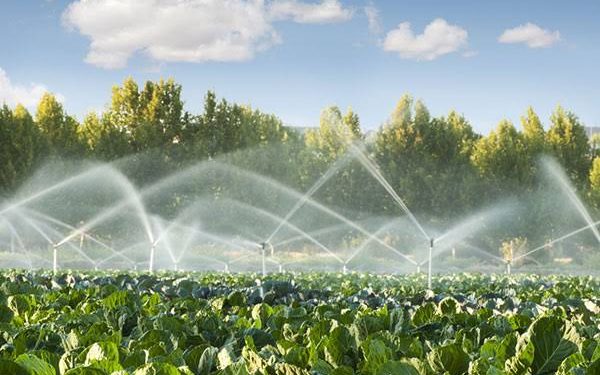 FG set to commission Gari Irrigation Project in northern Nigeria