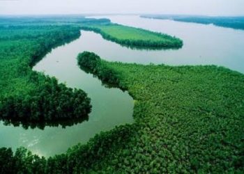Nigeria, 8 other nations hold advocay workshop on Niger Basin integrated management