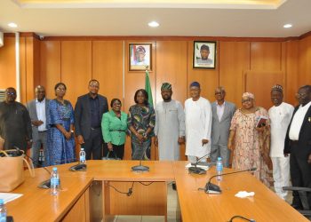 Fashedemi promises power sector improvement following visit of presidential energy adviser