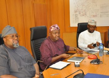 Gencos, Discos get orders from power minister to improve performance