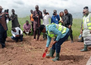 Nigeria flags off dry season farming to boost food security