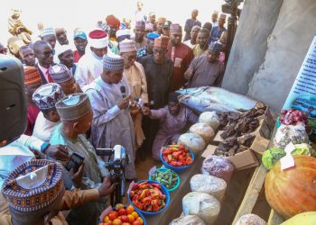 Goronyo makes strong case for river basin partial commercialization 