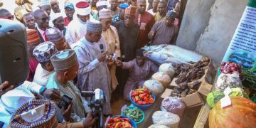 Goronyo makes strong case for river basin partial commercialization 