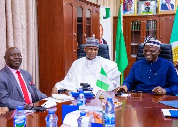 Nigerian ministers task hydropower professionals on collaboration to solve sector’s challenges 