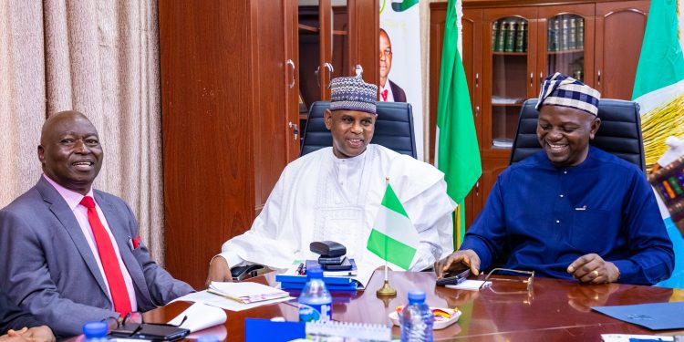 Nigerian ministers task hydropower professionals on collaboration to solve sector’s challenges 