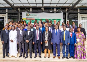 Nigeria tasks ECOWAS on unity for effective water resource management