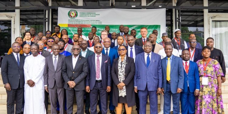 Nigeria tasks ECOWAS on unity for effective water resource management