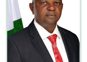 Why Nigeria is planning to build more dams 