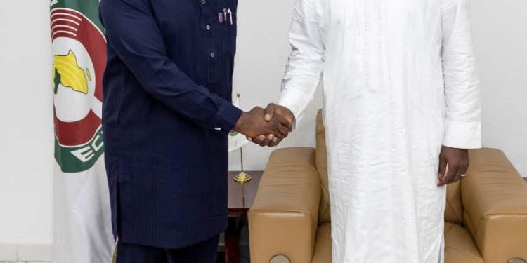 Fayemi meets ECOWAS Commission president as Amamdla Institute holds conference to commemorate ECOWAS at 50
