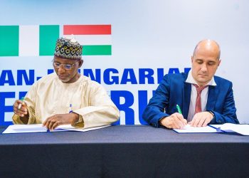 Nigeria, Hungary deepen partnership on water engineering, climate resilience
