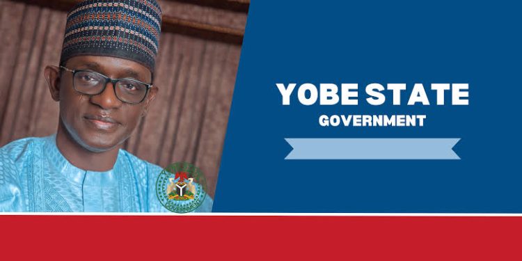 Yobe State earmarks 2,500 girls for digital skill training